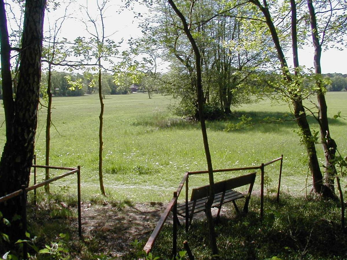 Haus Waldfrieden Daire Bad Saarow Dış mekan fotoğraf