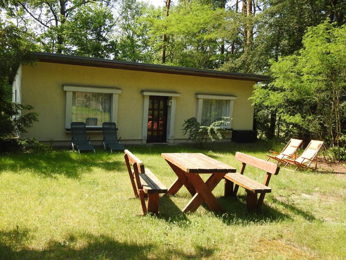 Haus Waldfrieden Daire Bad Saarow Dış mekan fotoğraf