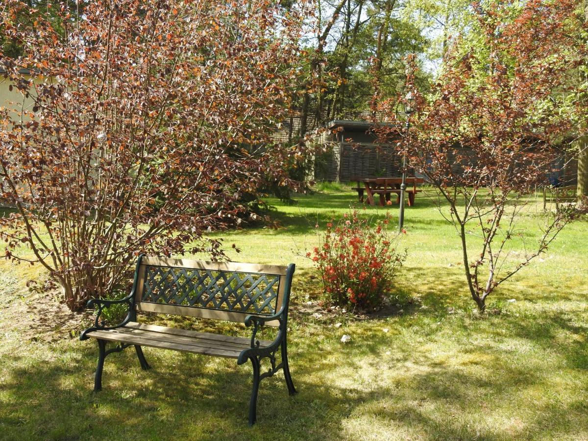 Haus Waldfrieden Daire Bad Saarow Dış mekan fotoğraf
